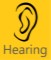 Grade Hearing 1